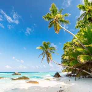 Seychelles Mahe Island Tour | Full Day